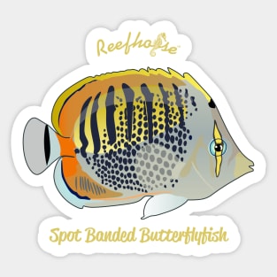 Spot Banded Butterflyfish Sticker